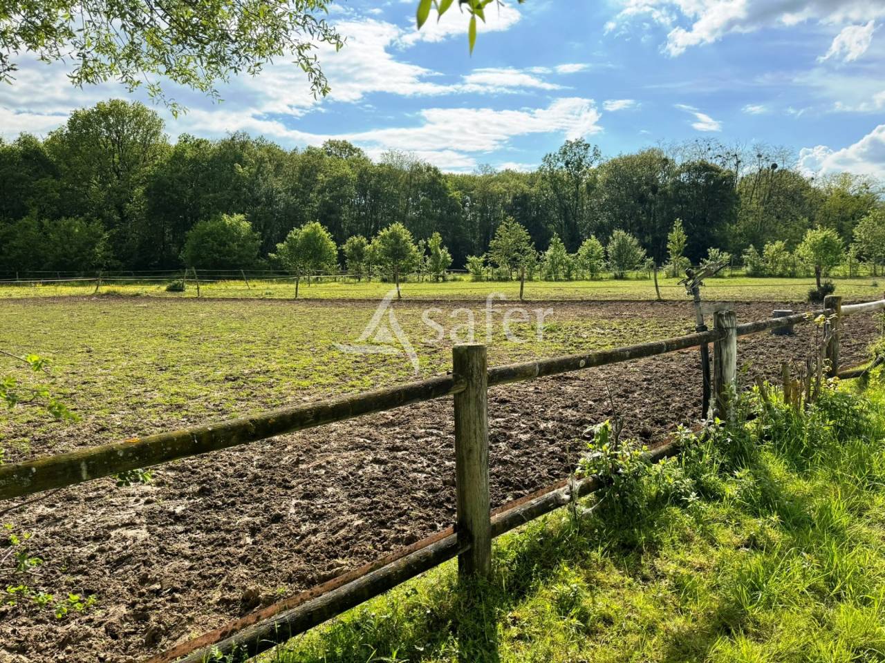 Propriété équestre - Ecurie de propriétaires