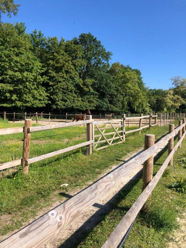 Ecurie de Propriétaires proche de Fontainebleau