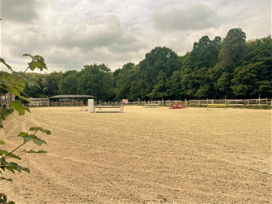 Ecurie de Propriétaires proche de Fontainebleau
