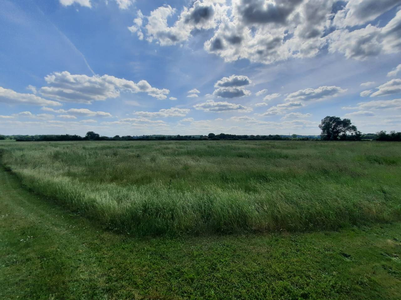 Propriété équestre sur 6,3 ha à 15 mn de Vierzon (18)