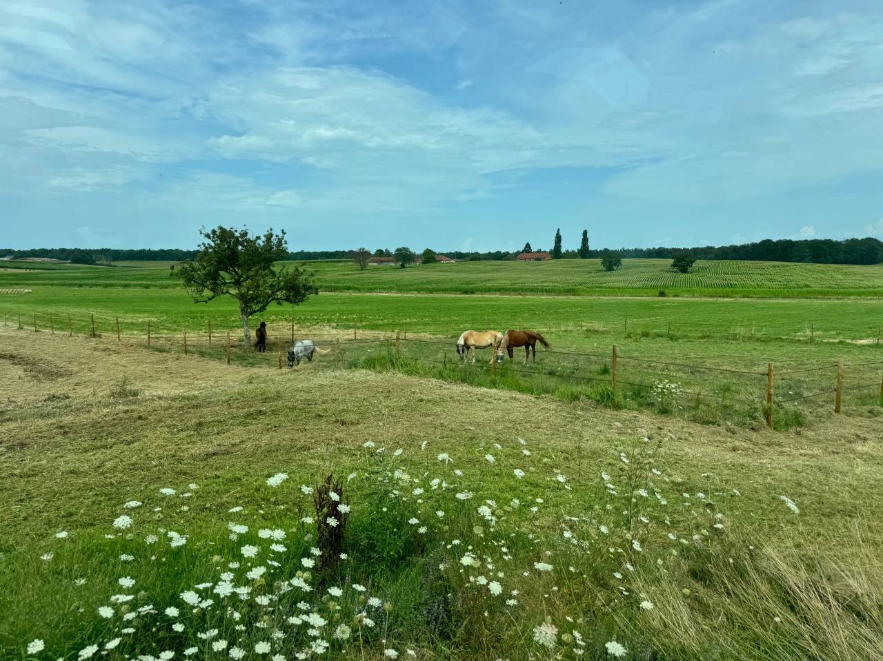 Domaine de la Sane - pension retraite 5*