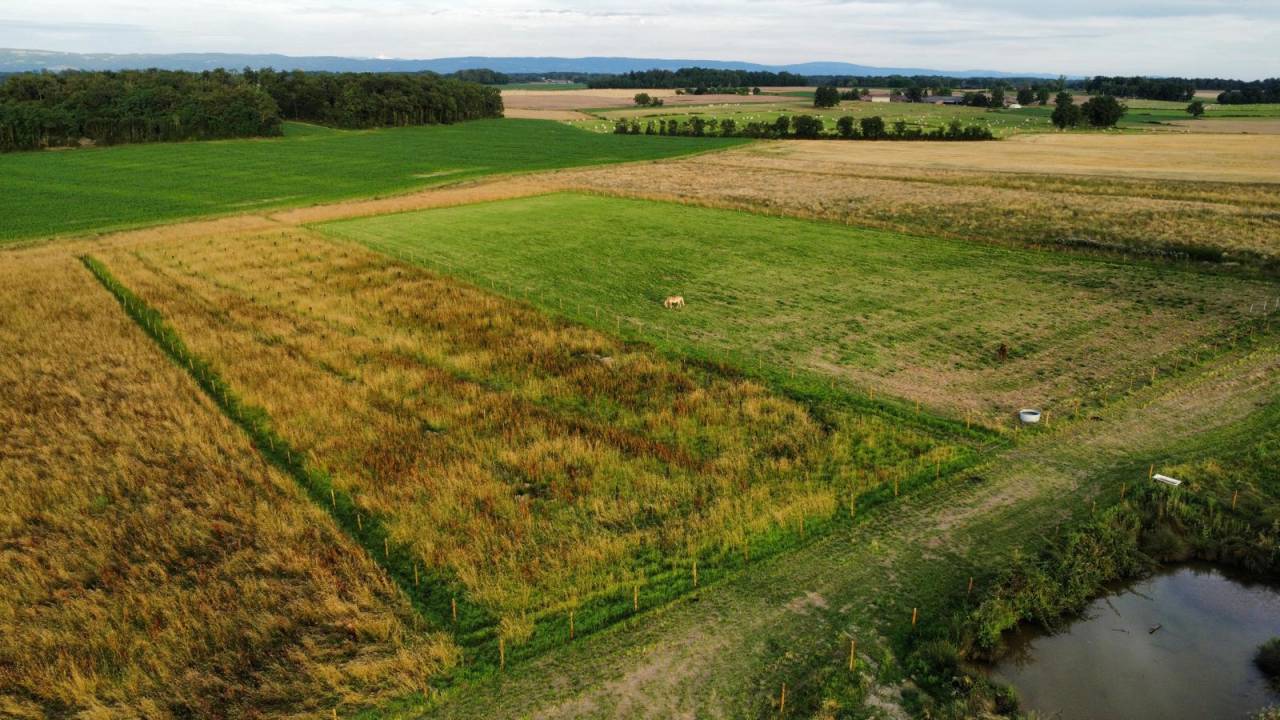 Domaine de la Sane - pension retraite 5*