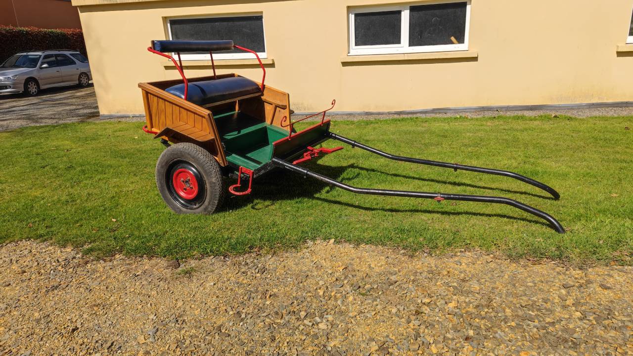 Calèche - 1 cheval ou double poney