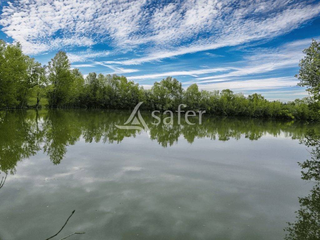 Proche Fleurance - propriété de 40 ha
