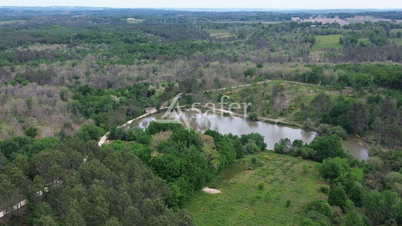 Enclos de chasse avec gîtes et salle de réception sur 100ha