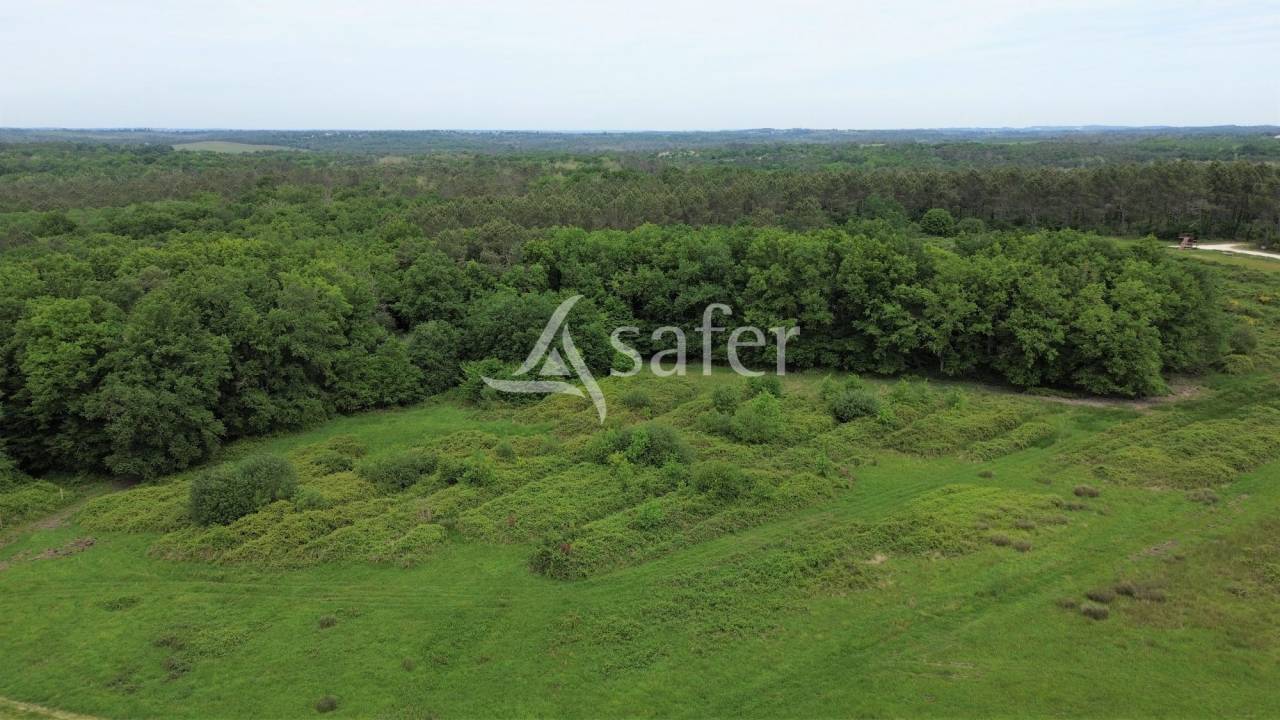 Enclos de chasse avec gîtes et salle de réception sur 100ha