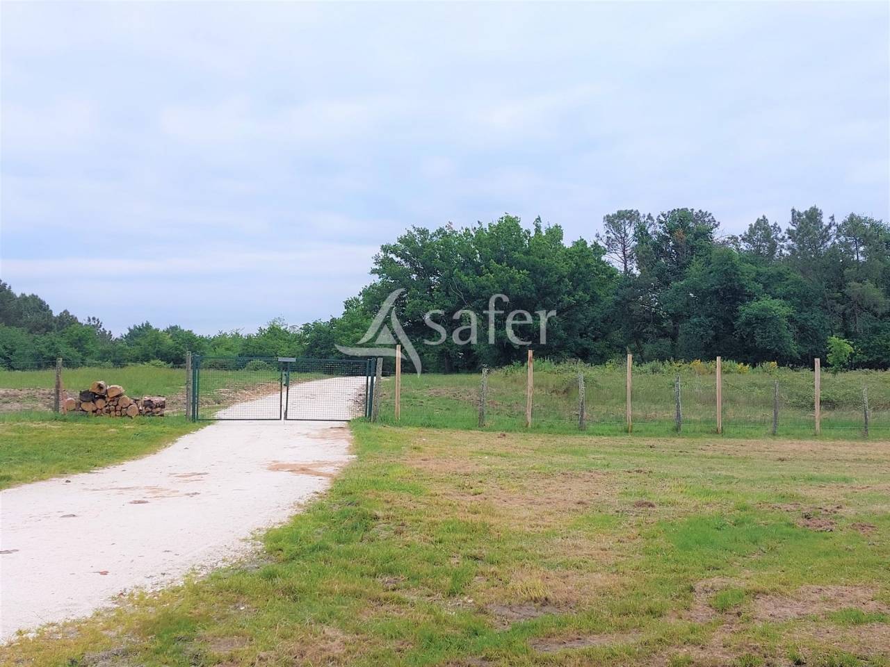Enclos de chasse avec gîtes et salle de réception sur 100ha