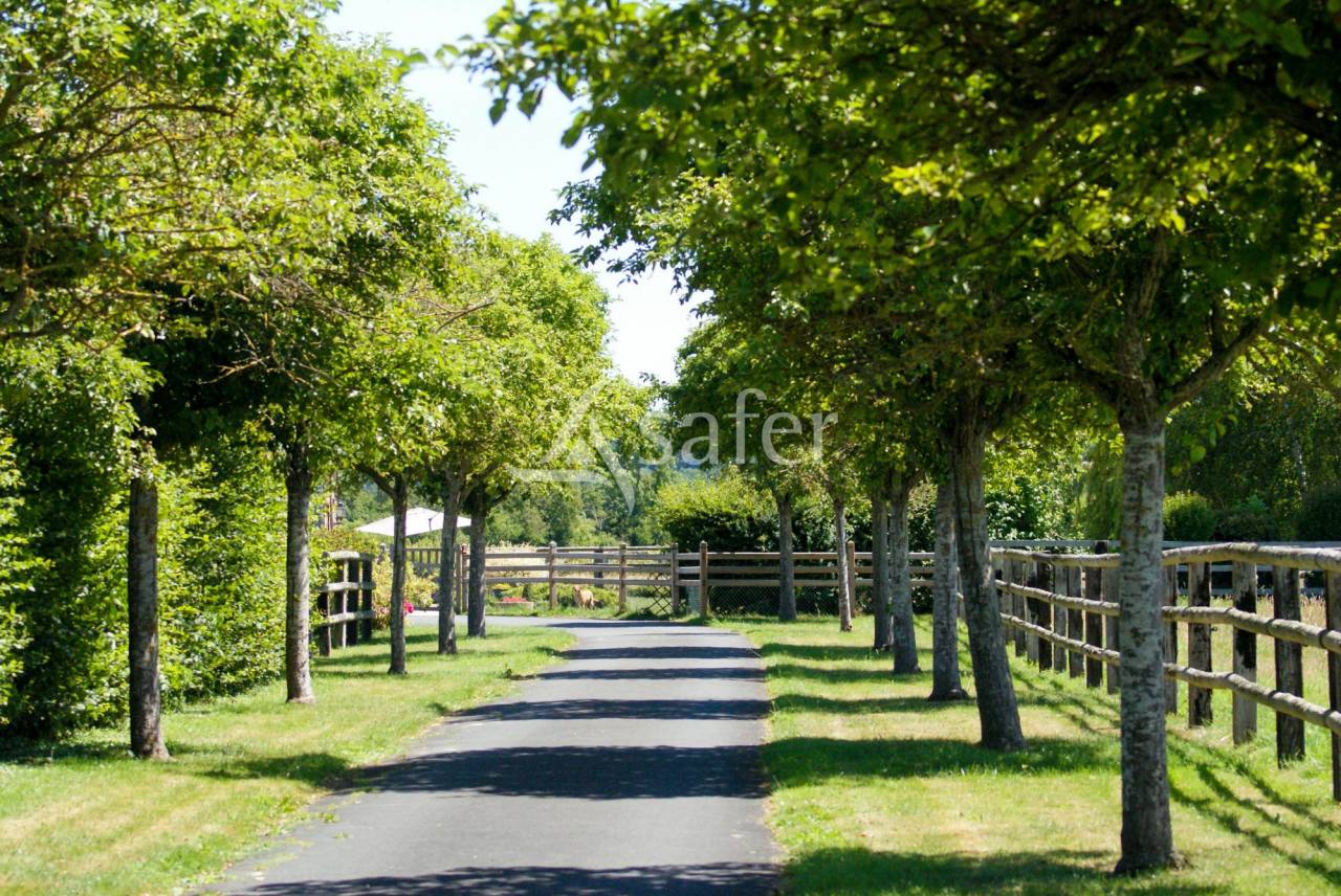 Haras Pays d'Auge 24 hectares