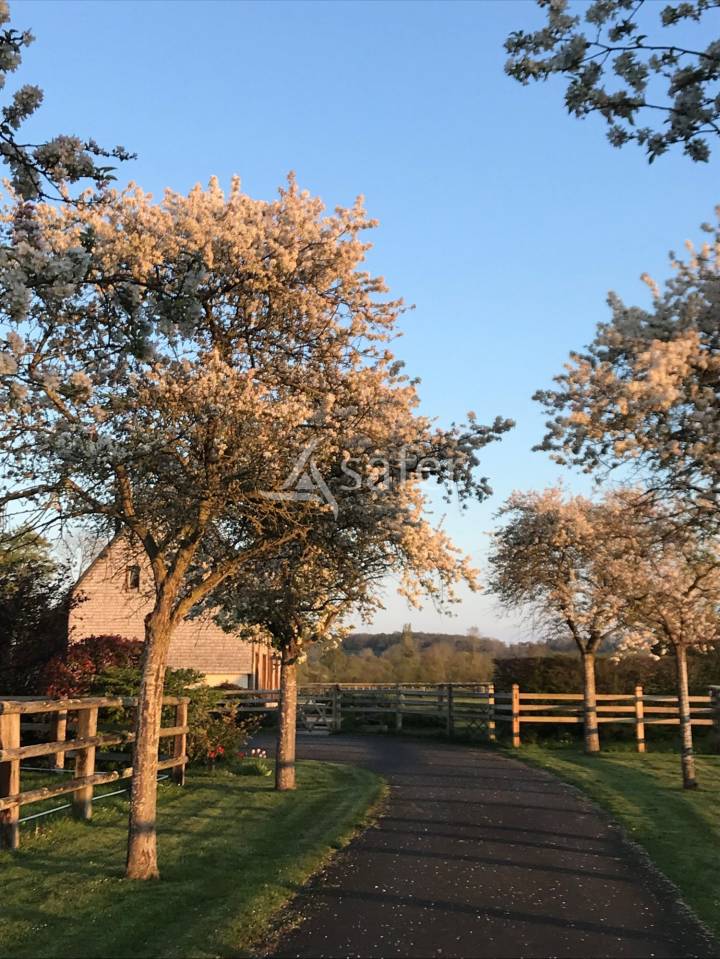 Haras Pays d'Auge 24 hectares