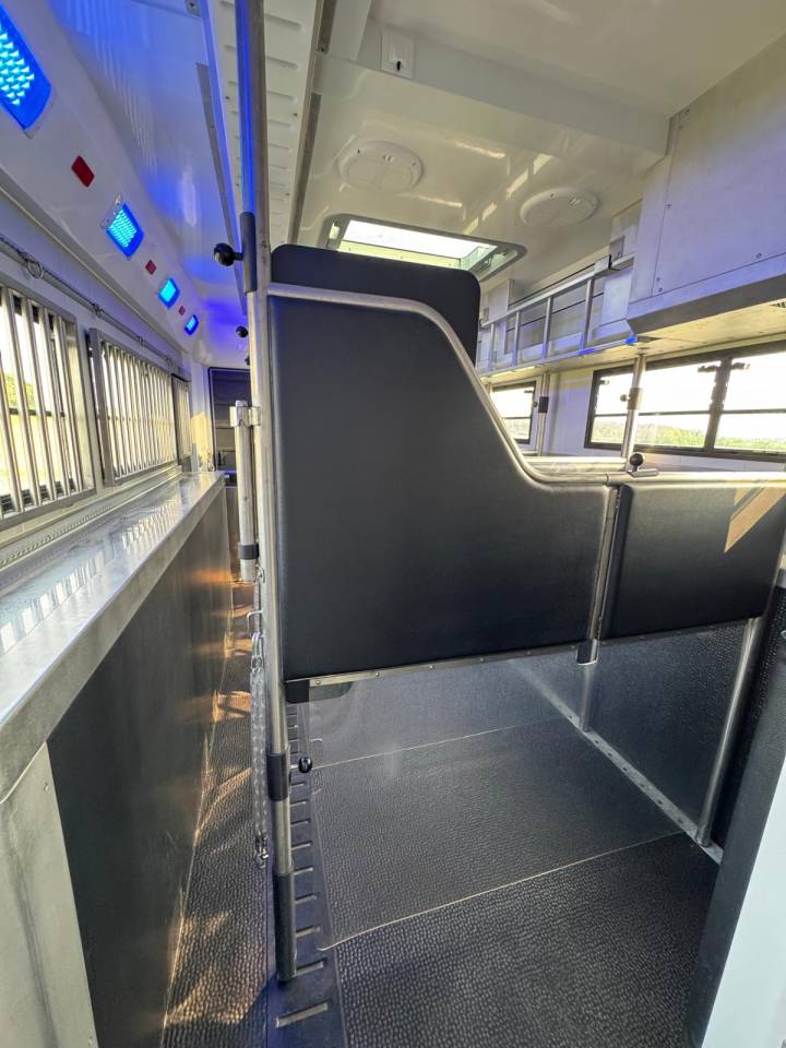 STX 6 CHEVAUX AVEC POP OUT, PUSH UP - VENDU