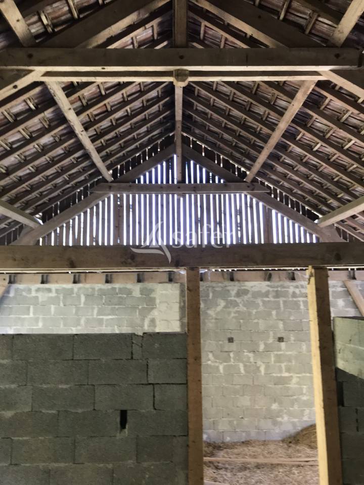 Centre équestre converti en élevage canin