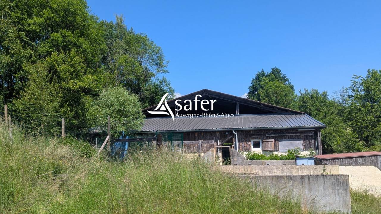 Centre &eacute;questre converti en &eacute;levage canin