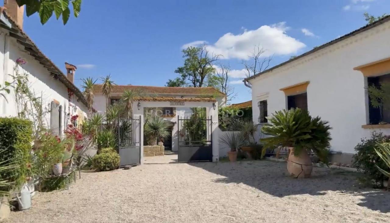 Mas de caractère en Camargue