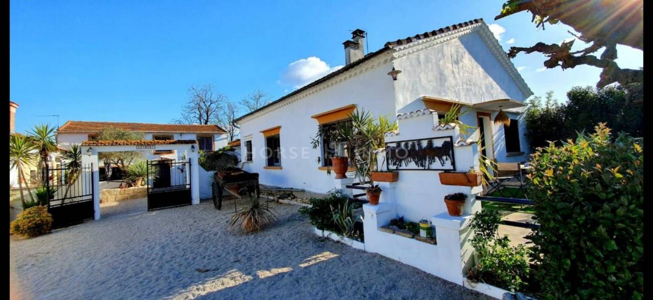 Mas de caractère en Camargue