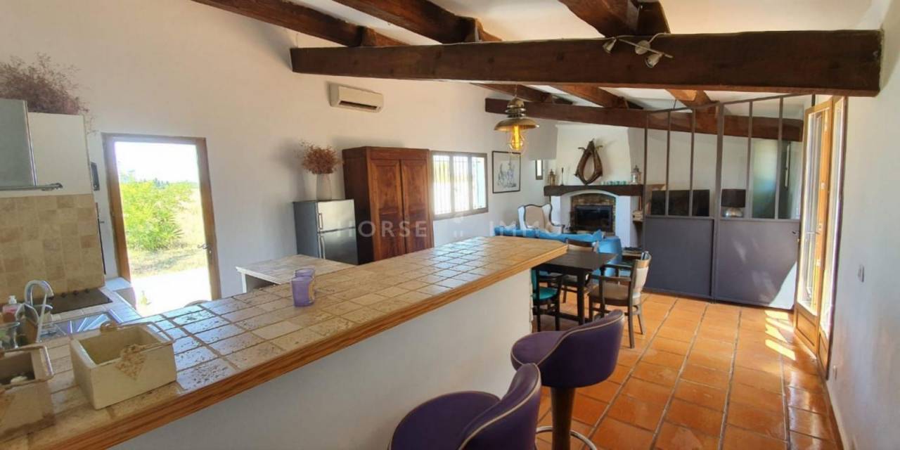 Mas de caractère en Camargue