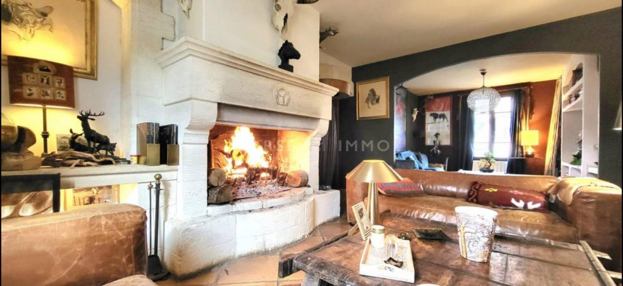 Mas de caractère en Camargue