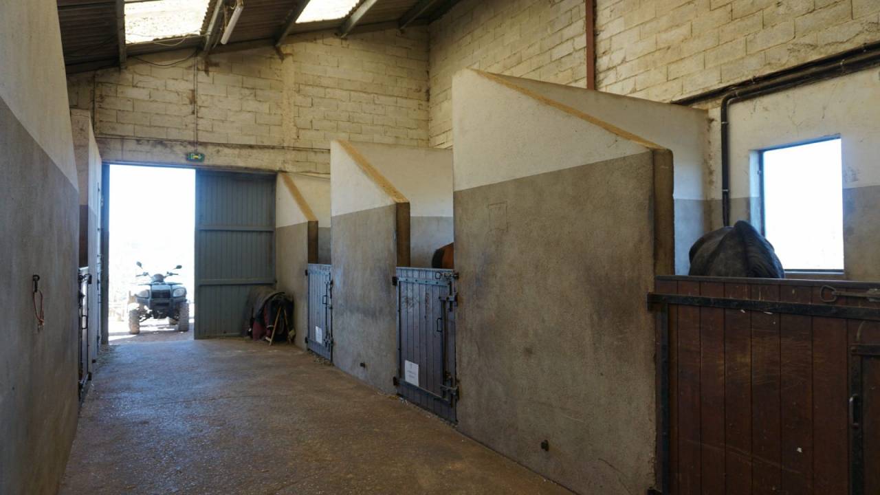 Propriété équestre clé en main sur 3,5 ha dans le Morvan
