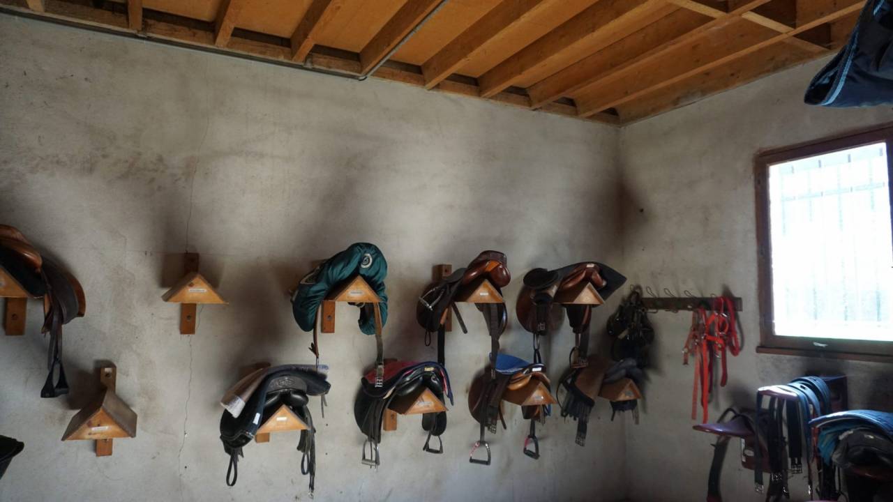 Propriété équestre clé en main sur 3,5 ha dans le Morvan