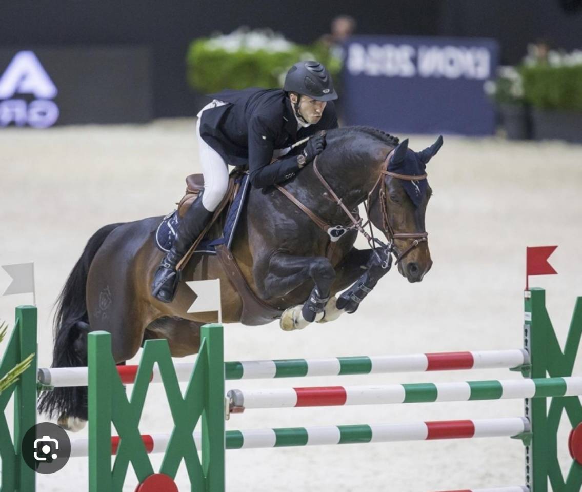 Pouliche Sf 2025 génétique prometteuse 