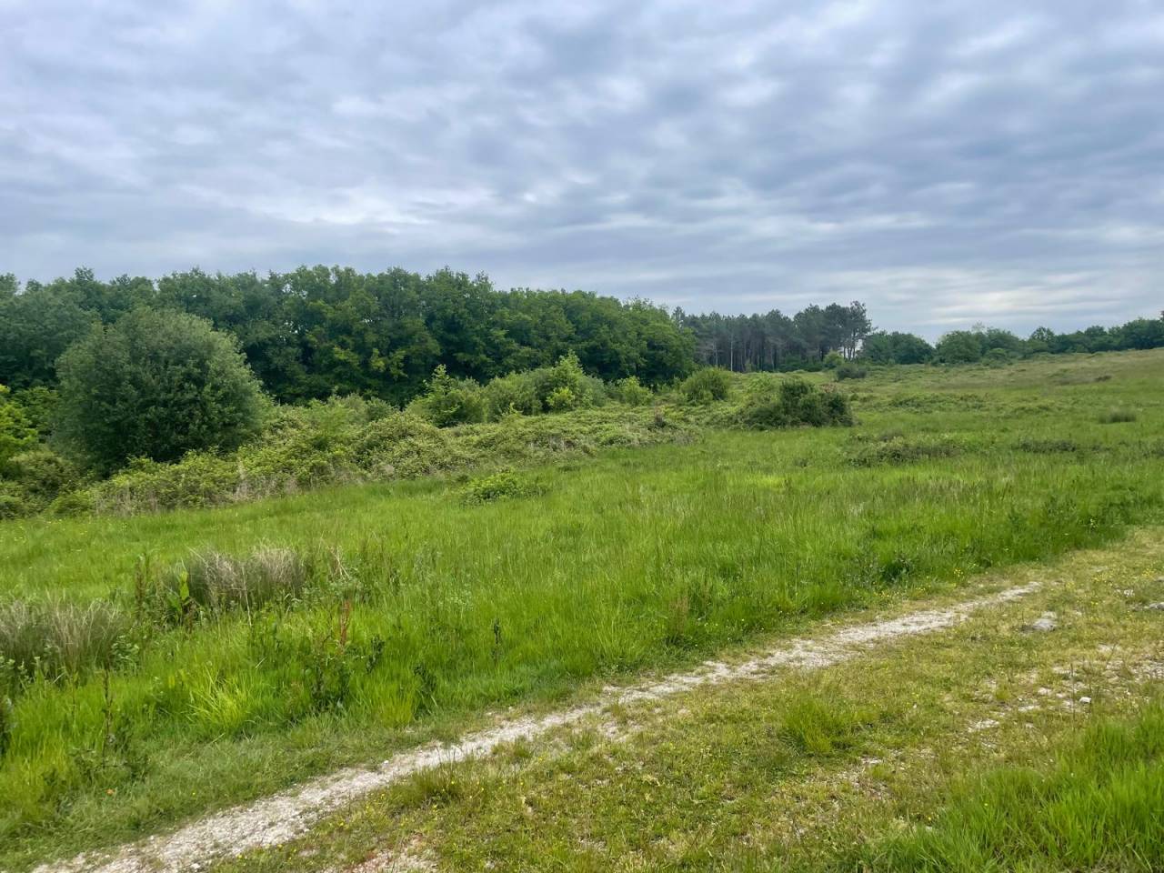 Domaine de chasse de 100 ha avec gîtes
