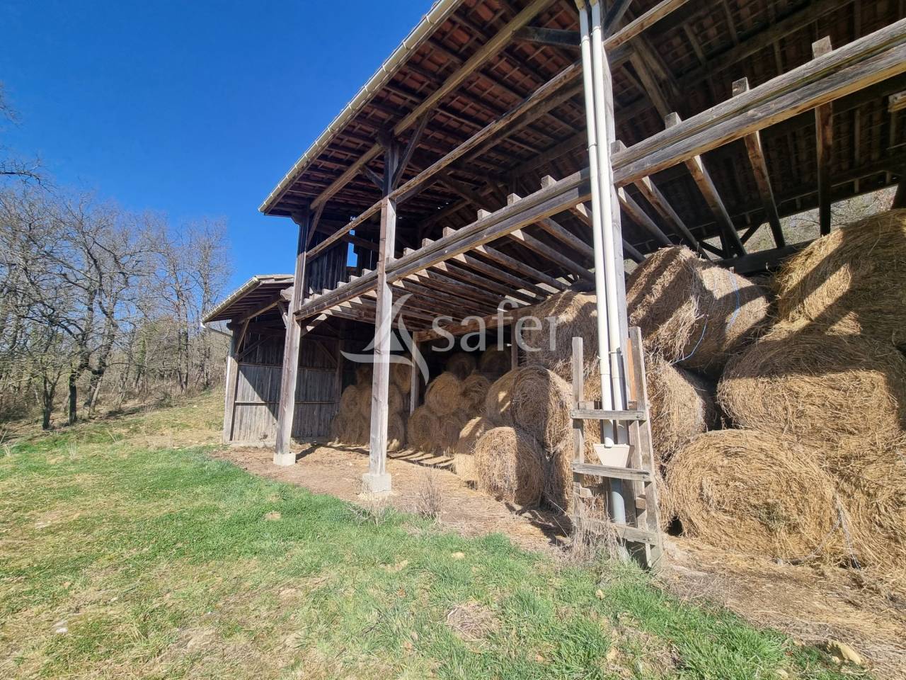 Propriété Agricole sur 38 ha dans le Mirapicien
