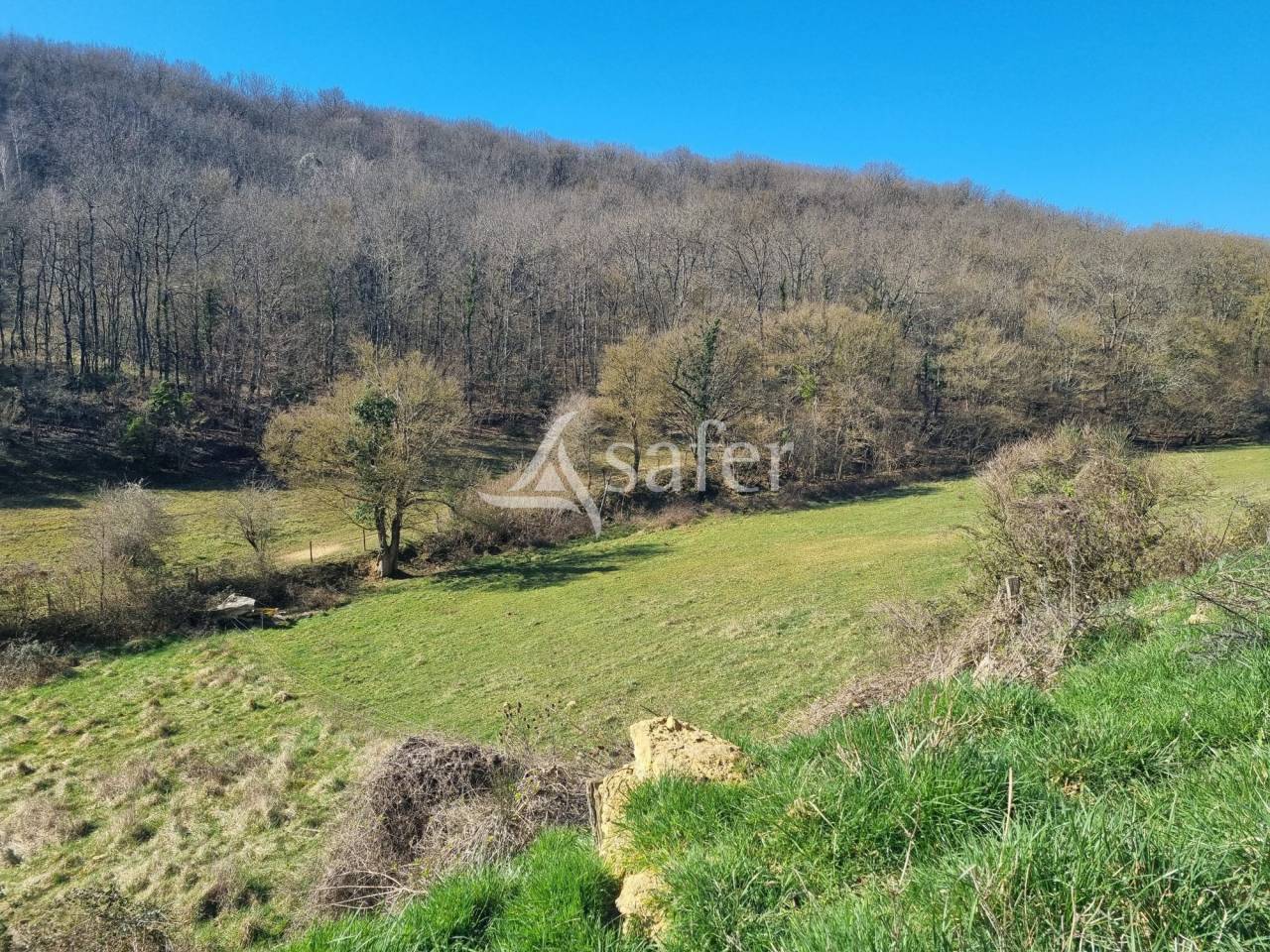 Propri&eacute;t&eacute; Agricole sur 38 ha dans le Mirapicien