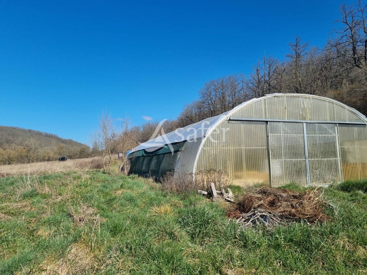Propri&eacute;t&eacute; Agricole sur 38 ha dans le Mirapicien