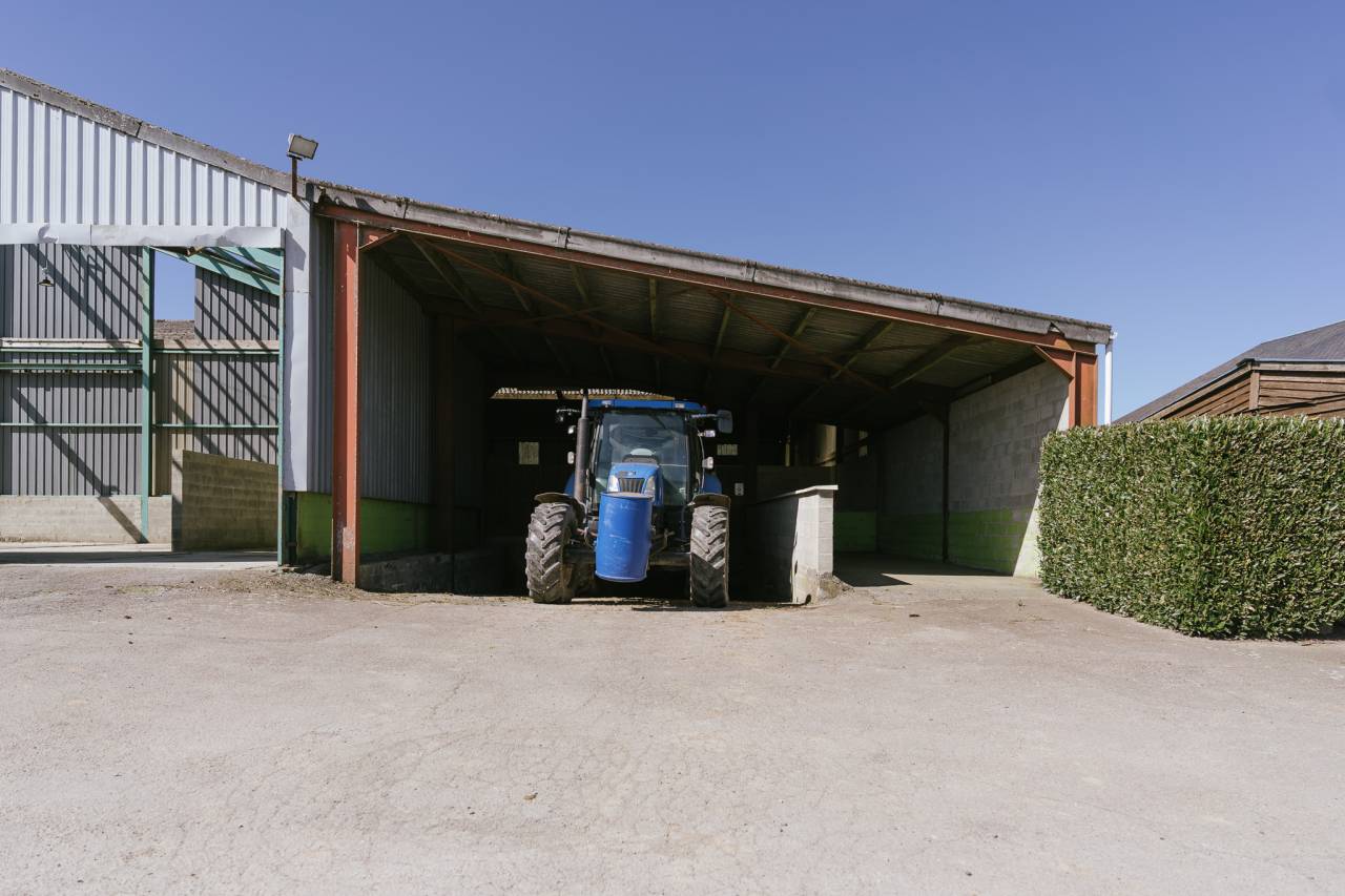 Haras + Maison d’exception à Neufchâteau 