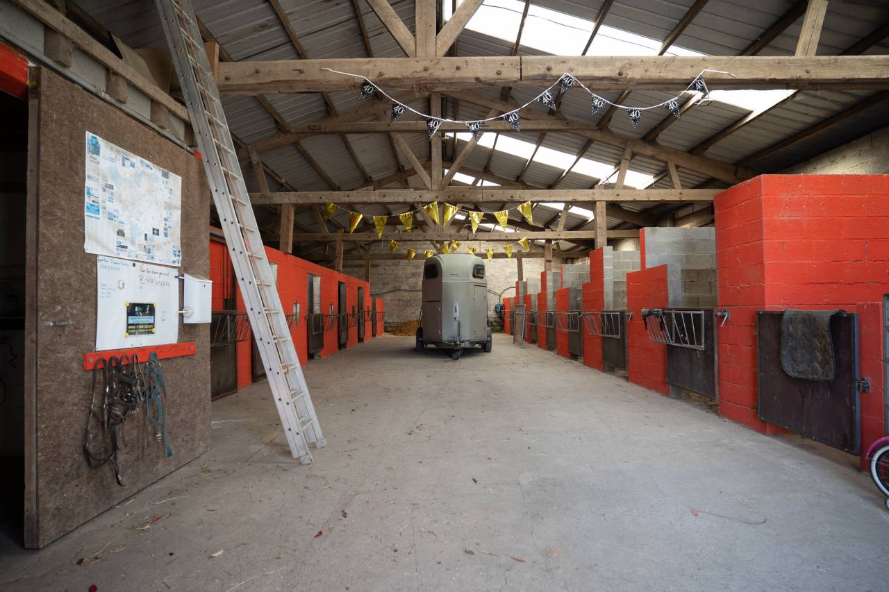 Haras + Maison d’exception à Neufchâteau 