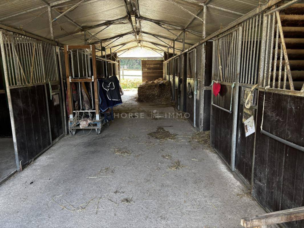 Maison d'Architecte avec Écuries et Accès Direct aux Plages