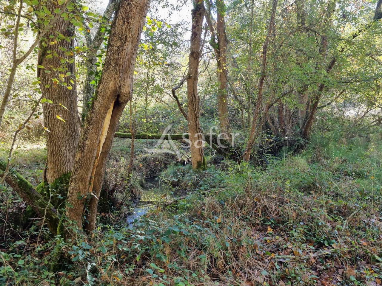 Domaine de 93 hectares