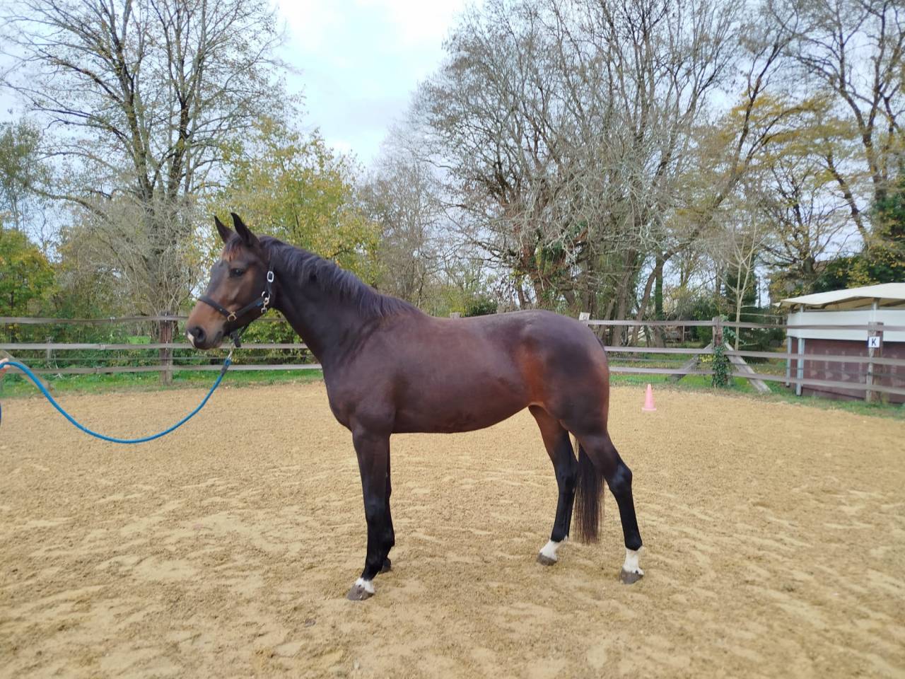 La Baronnie présente 