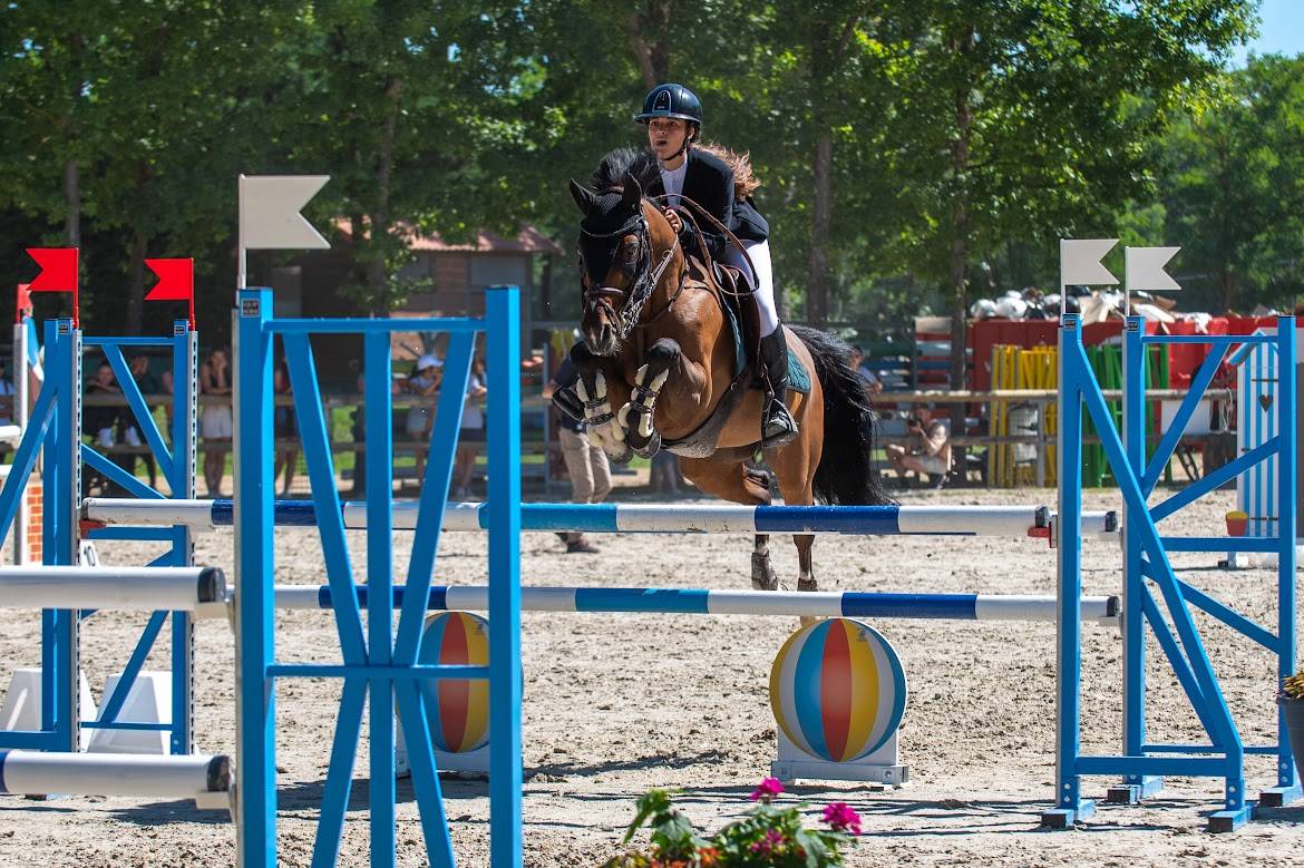 Poney de sport à vendre 