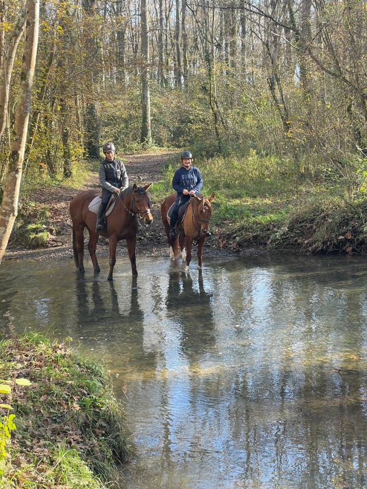 VEND SUPERBE PONETTE CRIOLLO 