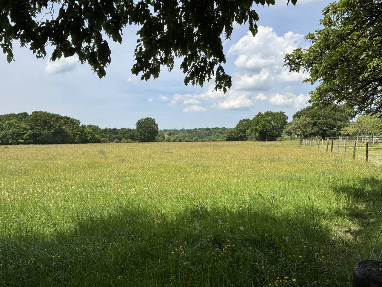 PROPRIÉTÉ DE 7,8 HA AU CALME AVEC UNE TRÈS JOLIE VUE