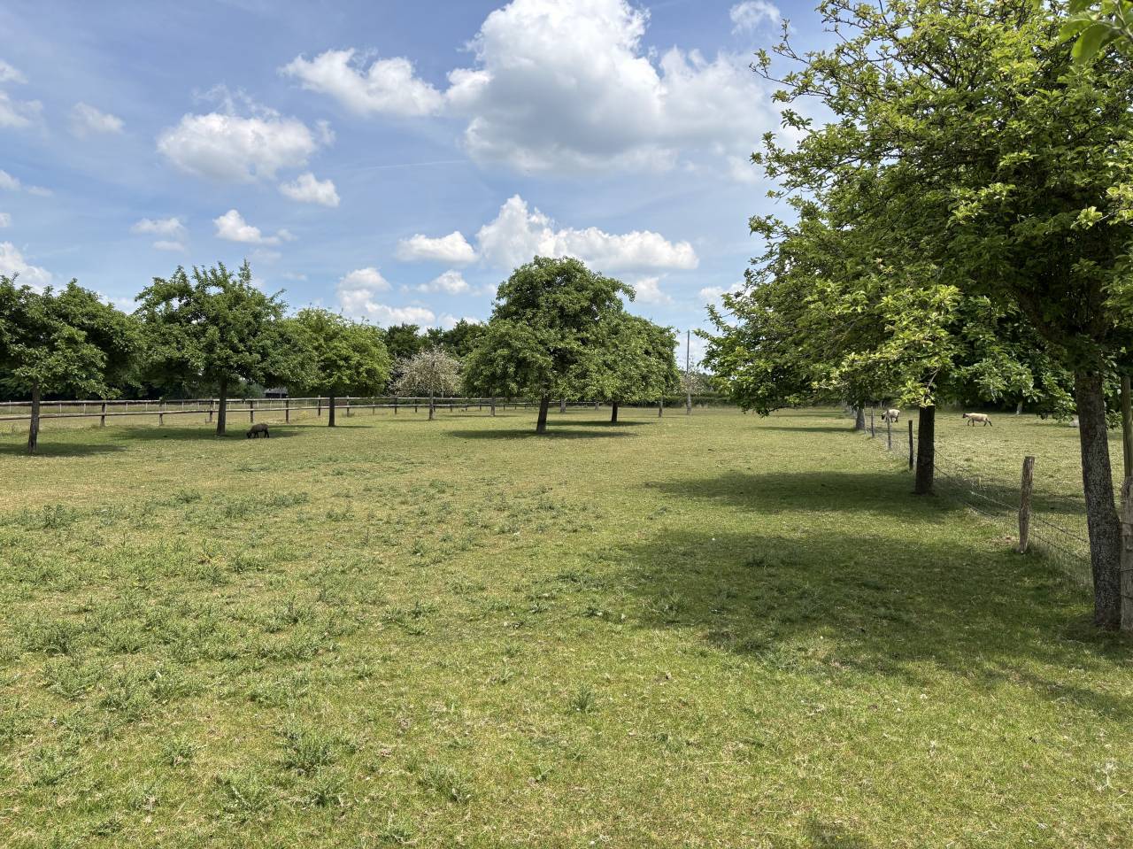 PROPRIÉTÉ DE 7,8 HA AU CALME AVEC UNE TRÈS JOLIE VUE