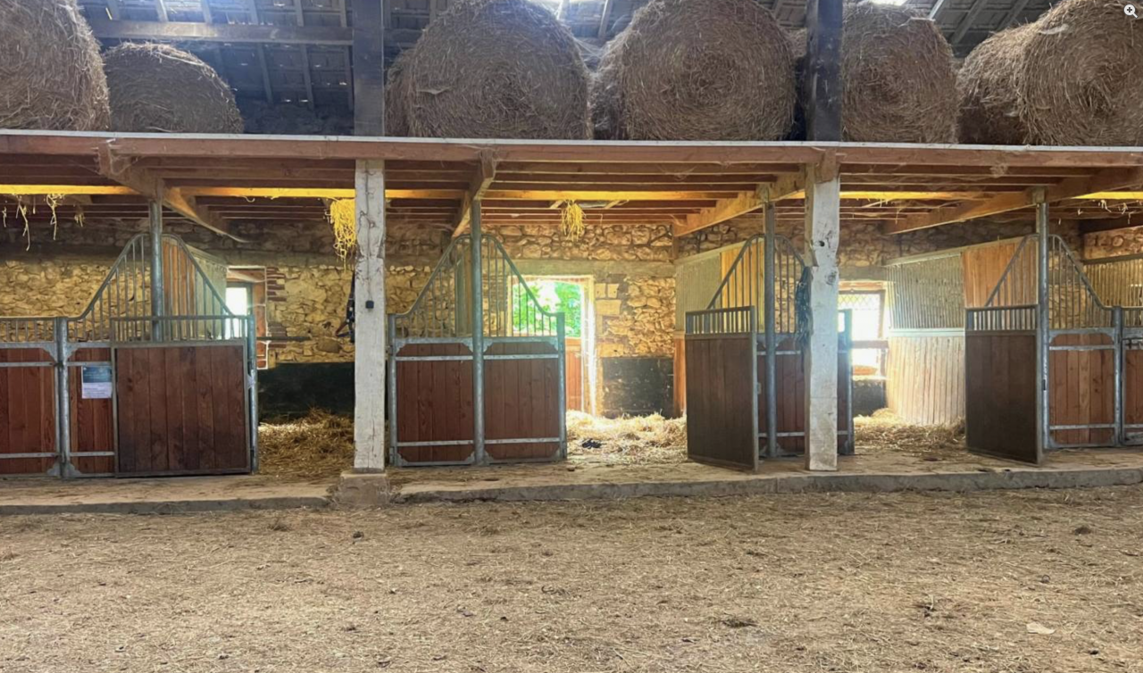 Domaine de charme de 40 hectares (47)