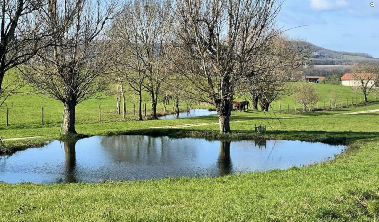 Domaine de charme de 40 hectares (47)