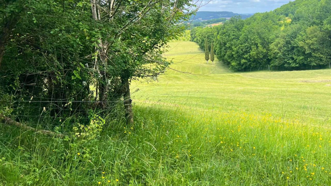 Domaine de charme de 40 hectares (47)