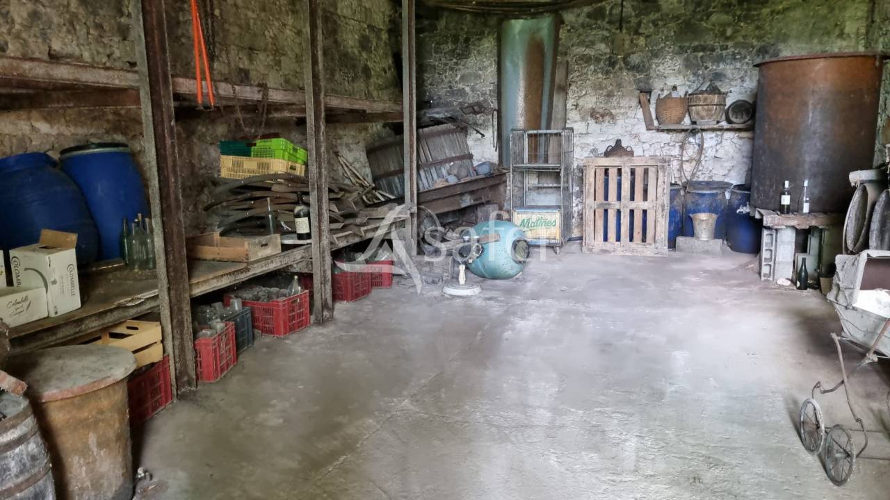 Proche Saint-Clar - Propriété de 3,5ha