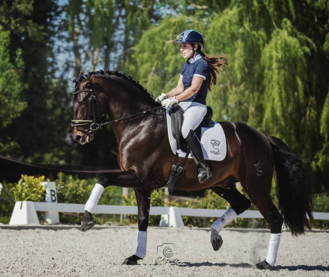 ANTARES DE SCUDERIA disponible en IAC 