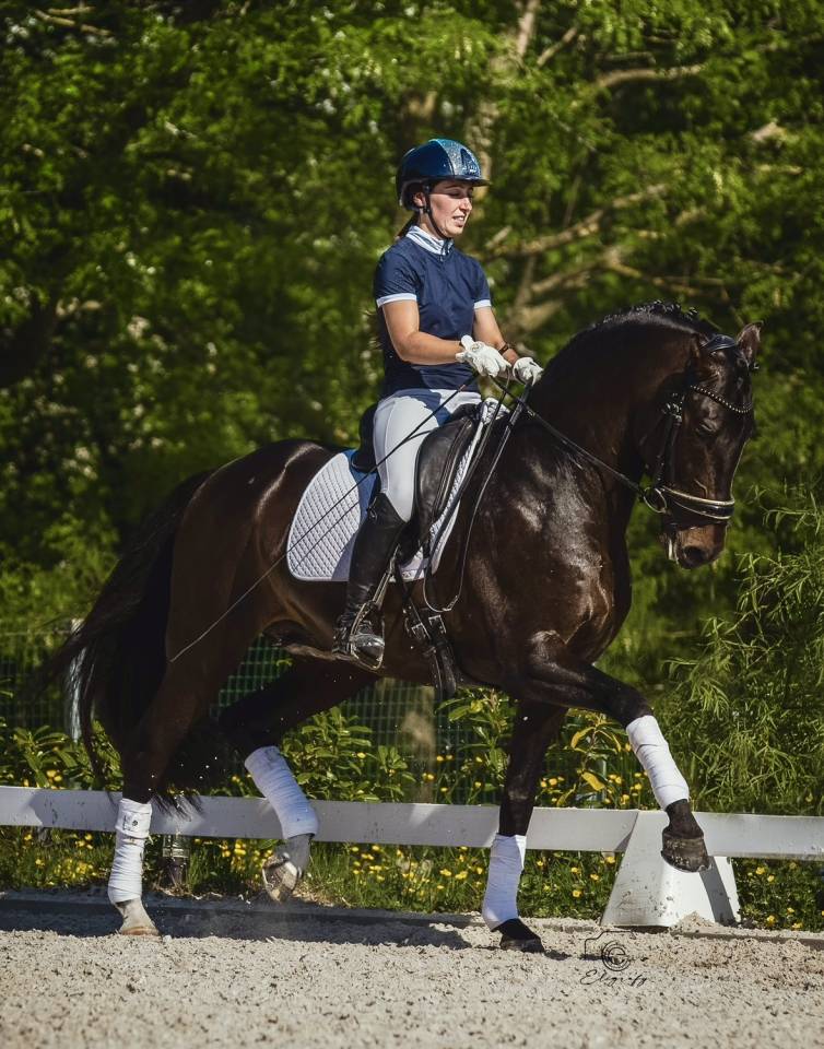 ANTARES DE SCUDERIA disponible en IAC 