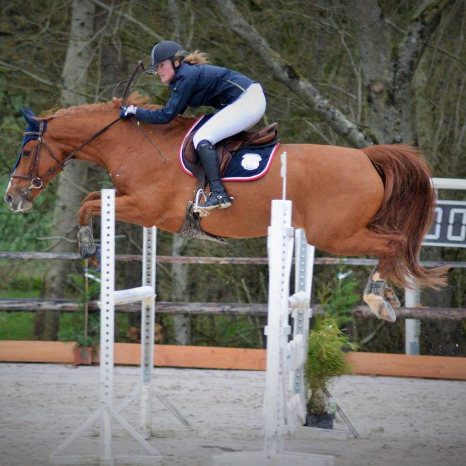 Cavalière & enseignante, gardiennage, grooming