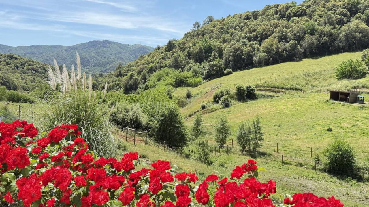 PROPRIÉTÉ DE CARACTÈRE AVEC INSTALLATIONS ÉQUESTRES