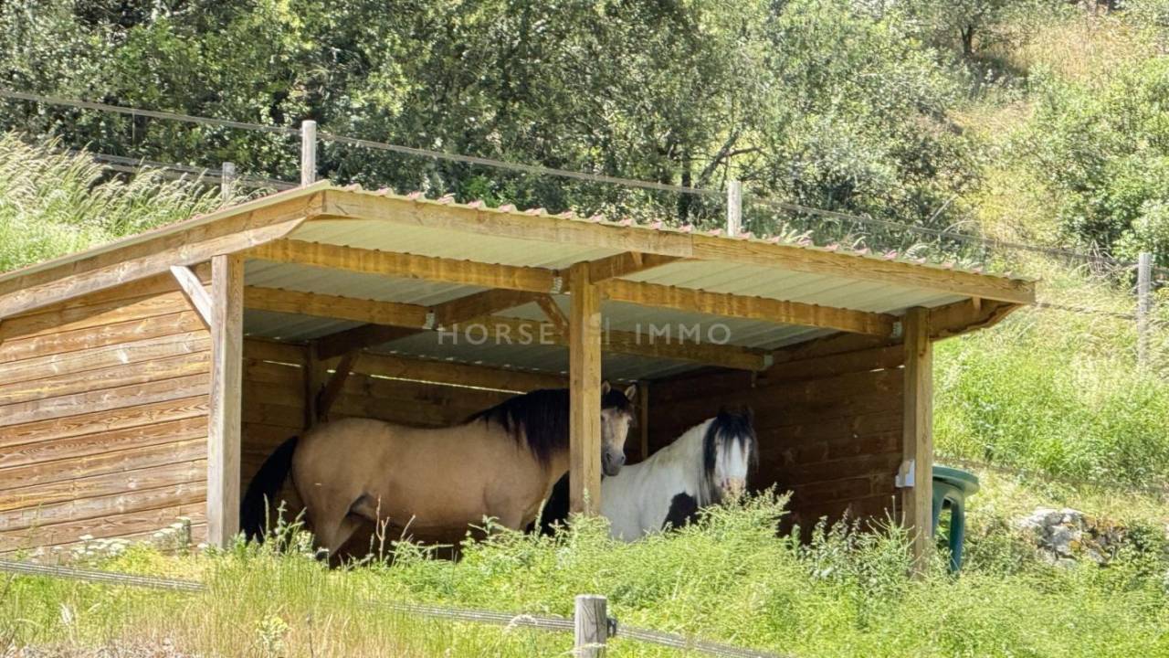 PROPRIÉTÉ DE CARACTÈRE AVEC INSTALLATIONS ÉQUESTRES