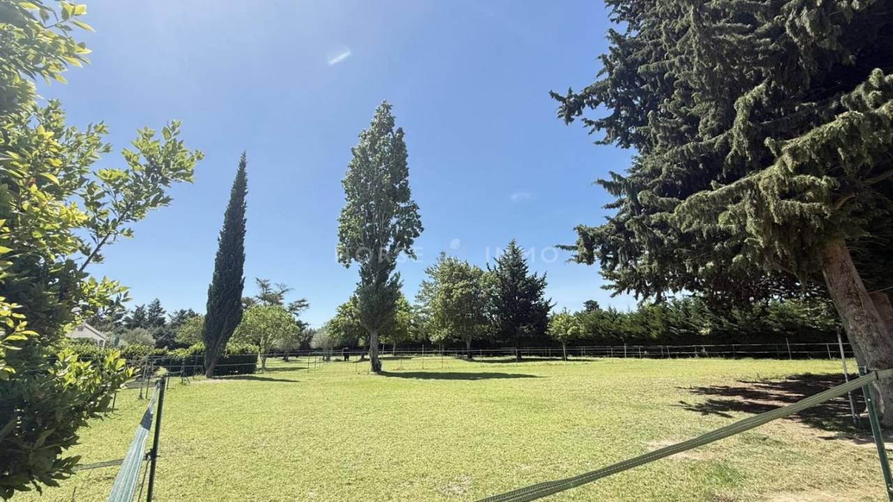 Propri&eacute;t&eacute; &eacute;questre de charme en campagne de Beaucaire