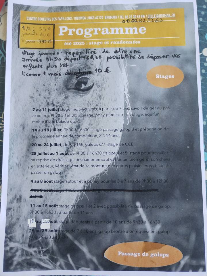 Randonnées  à la journée Alsace