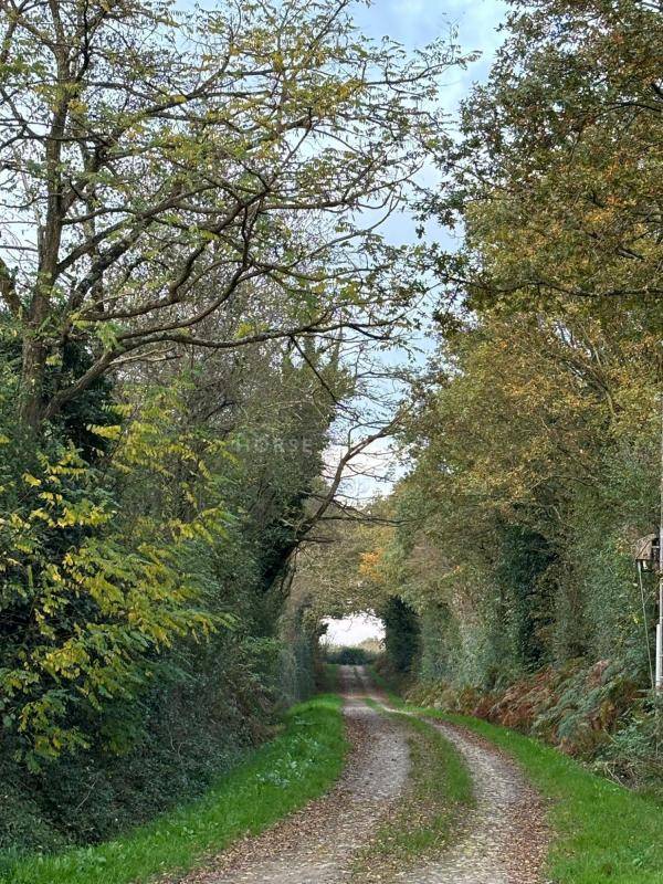 Domaine de caractère, avec gîtes, étang & installations éque