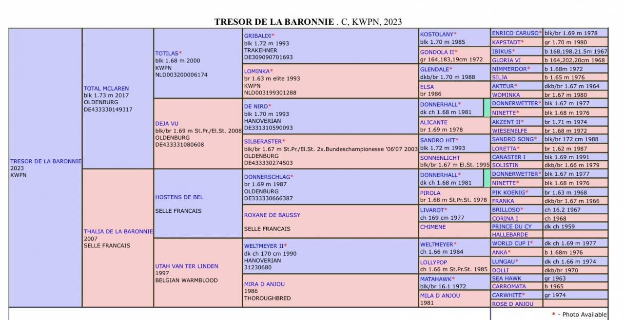  Un très beau deux ans