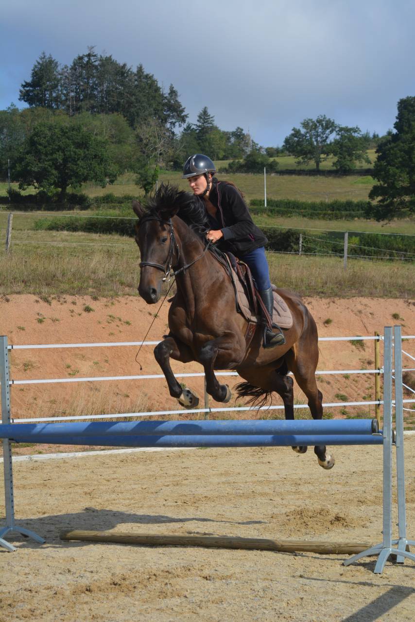 Demi-pension écurie de propriétaires 